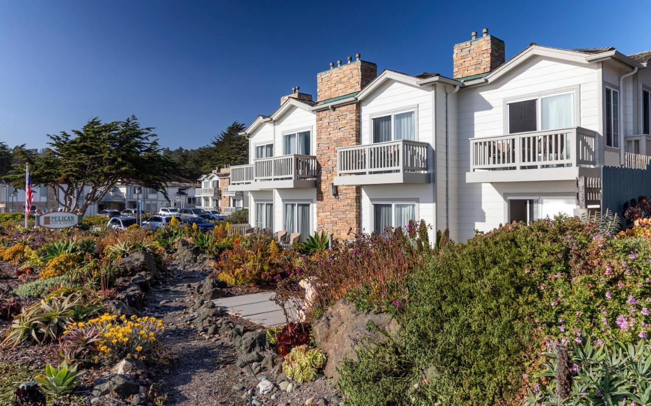 Hotel Pelican &