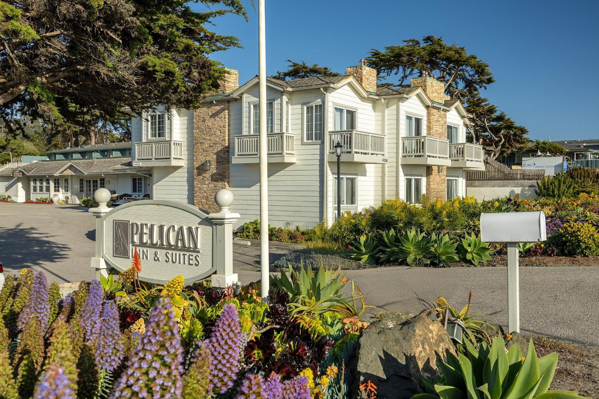 Pelican & Hotel 4*