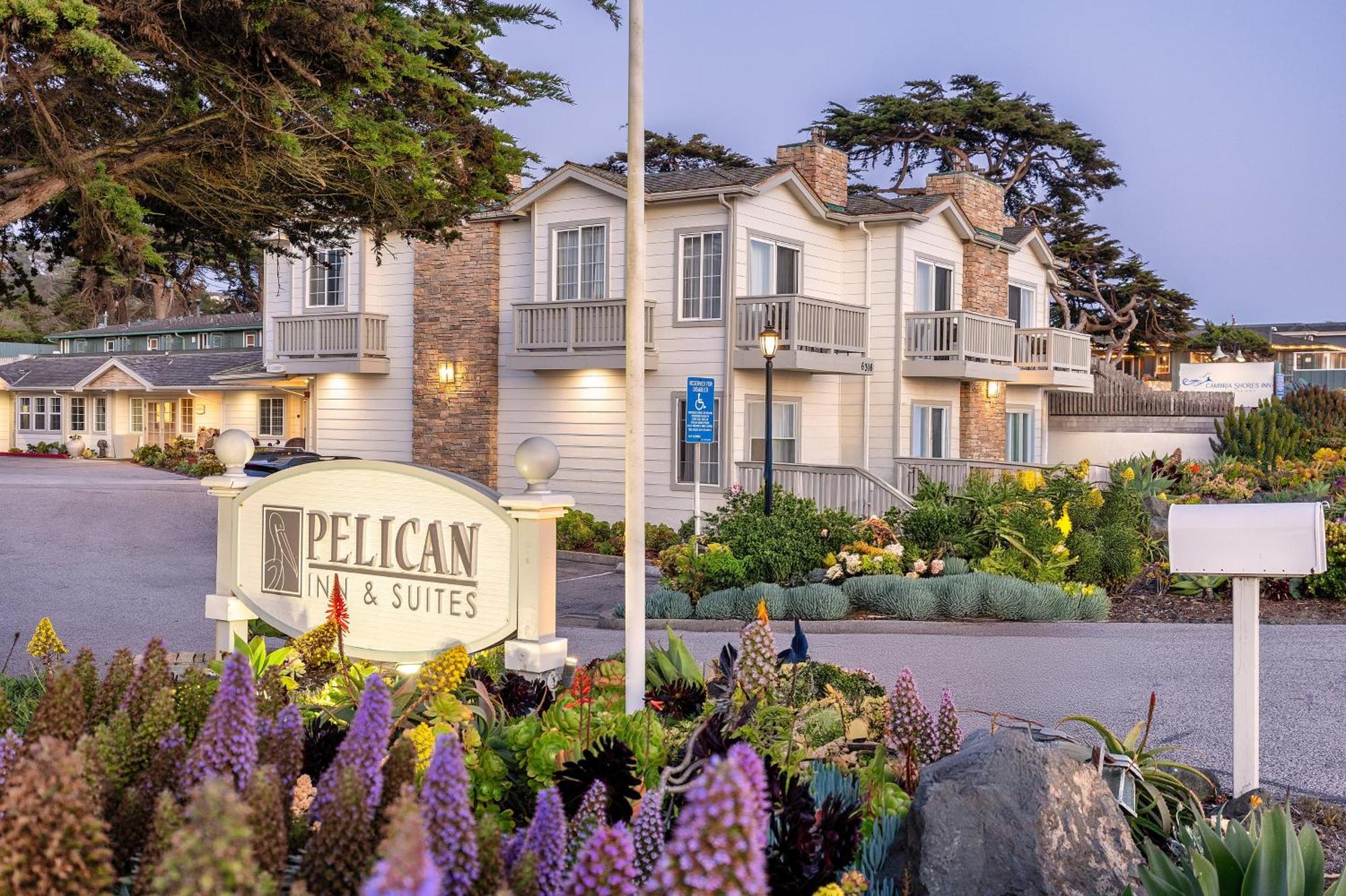 Hotel Pelican & 4*